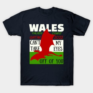 Wales Qatar World Cup 2022 T-Shirt